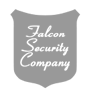 Falcon Securities